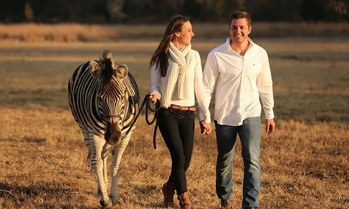 Interactions and Photos with Zebras for Kids or Adults at Lila's Zebra Safaris - Image 12