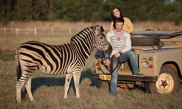 Interactions and Photos with Zebras for Kids or Adults at Lila's Zebra Safaris - Image 2