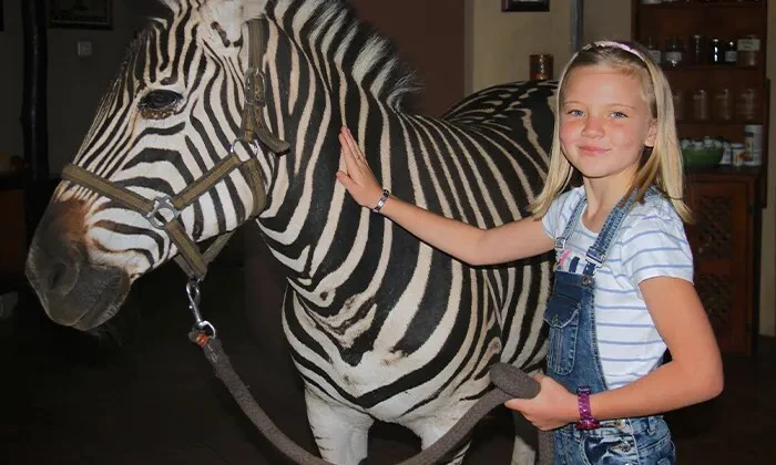 Interactions and Photos with Zebras for Kids or Adults at Lila's Zebra Safaris - Image 5