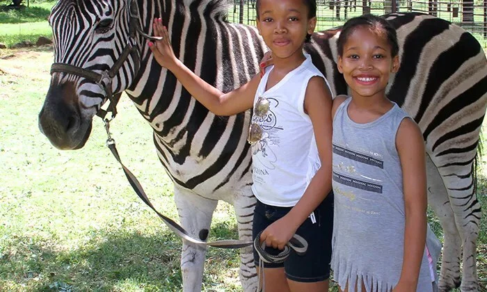 Interactions and Photos with Zebras for Kids or Adults at Lila's Zebra Safaris - Image 6