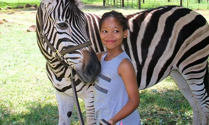 Interactions and Photos with Zebras for Kids or Adults at Lila's Zebra Safaris - Image 7