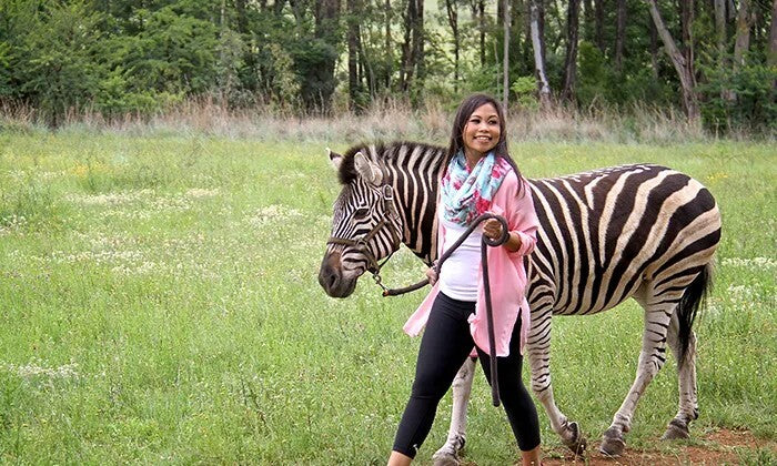 Interactions and Photos with Zebras for Kids or Adults at Lila's Zebra Safaris - Image 8