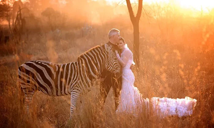 Interactions and Photos with Zebras for Kids or Adults at Lila's Zebra Safaris - Image 9