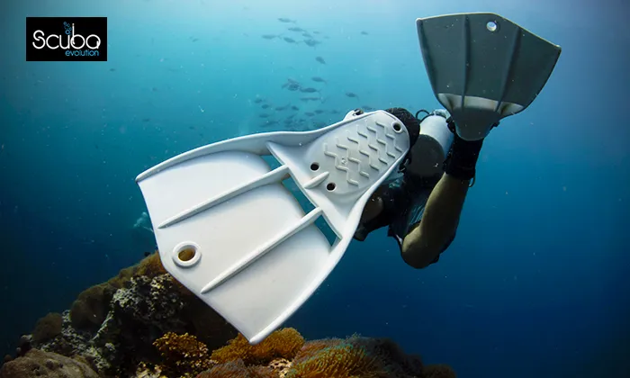 Introductory Scuba Diving Course - Image 3