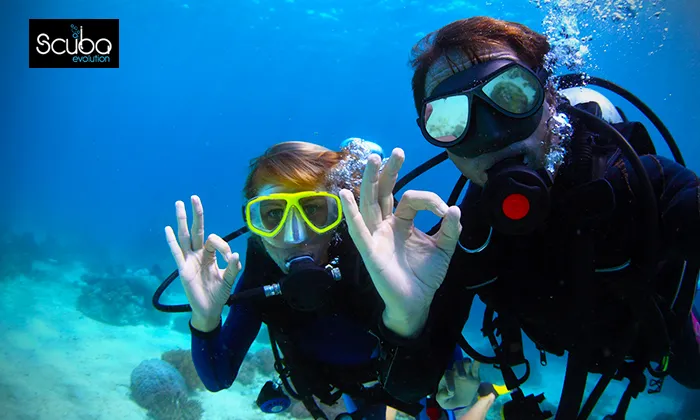Introductory Scuba Diving Course - Image 4