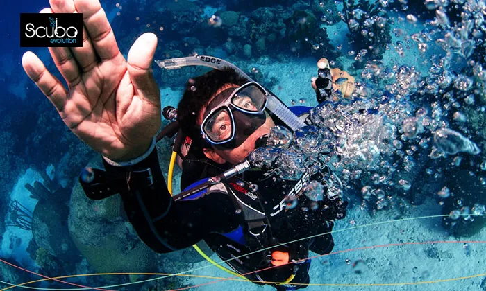 Introductory Scuba Diving Course - Image 6