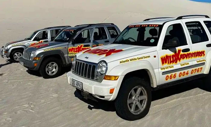 Jeep Eco Tour 4x4 – WildX Adventures, Atlantis Dunes - Image 2