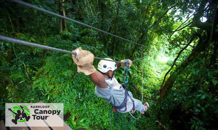 Karkloof Canopy Zip-Line Tour Experience