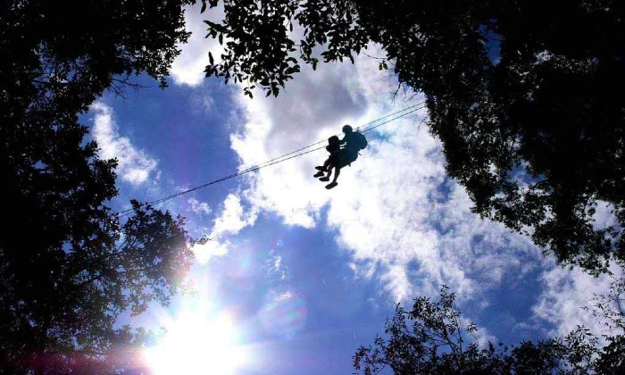 Karkloof Canopy Zip-Line Tour Experience - Image 2