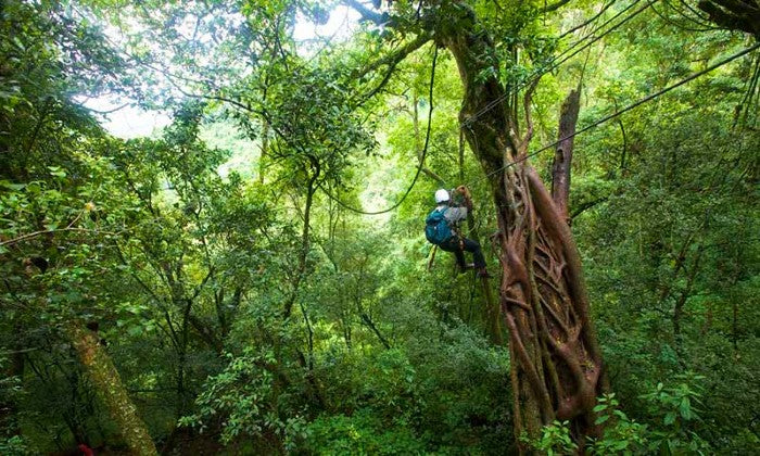 Karkloof Canopy Zip-Line Tour Experience - Image 6