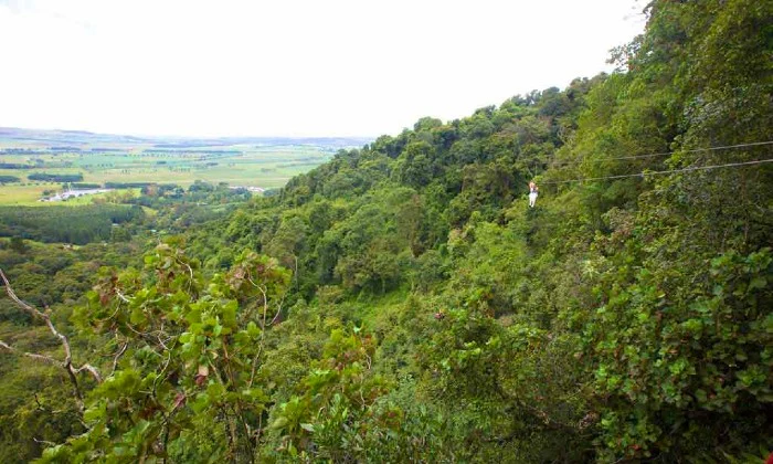 Karkloof Canopy Zip-Line Tour Experience - Image 7