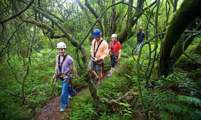Karkloof Canopy Zip-Line Tour Experience - Image 9
