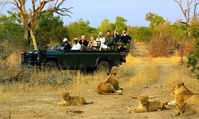 Kruger Park: 2 or 3-Nights for Two incl Meals, Picnic, Massage, Guided Walk and More at Ngama Tented Safari Lodge - Image 3