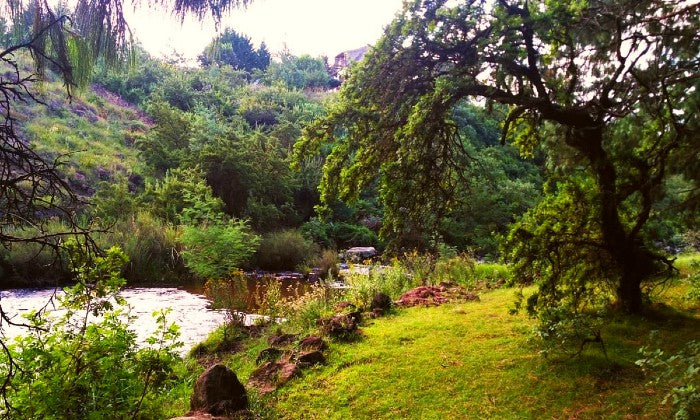 KwaZulu-Natal: 2-Night Midweek Stay for Two at Otters Den Cottages - Image 11