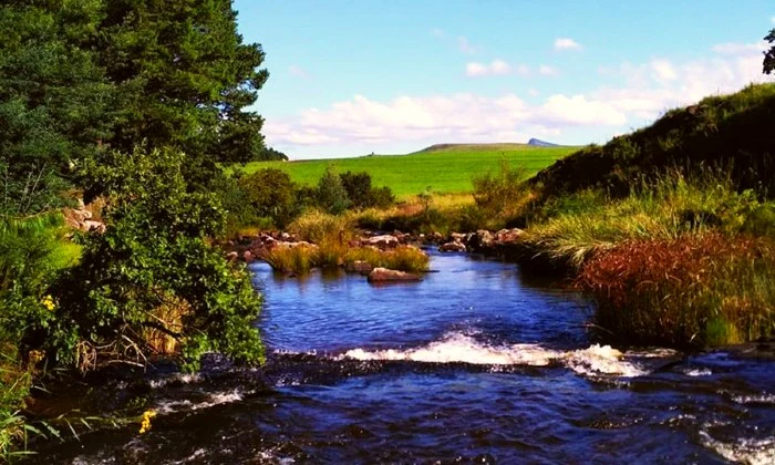 KwaZulu-Natal: 2-Night Midweek Stay for Two at Otters Den Cottages - Image 12