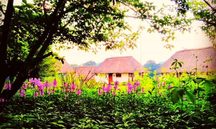 KwaZulu-Natal: 2-Night Midweek Stay for Two at Otters Den Cottages - Image 3