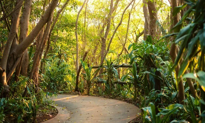 KwaZulu-Natal: 2-Night Self-Catering Stay for up to 8 at Zimbali Coastal Resort - Image 10