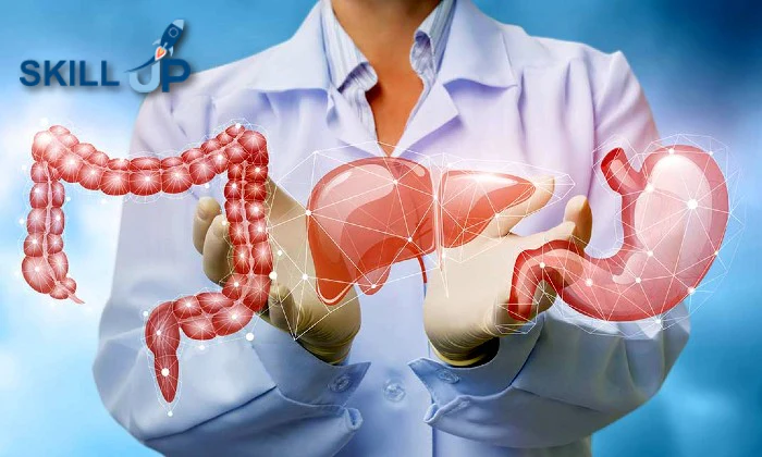 Level 3 Diploma in Anatomy and Physiology of Human Body