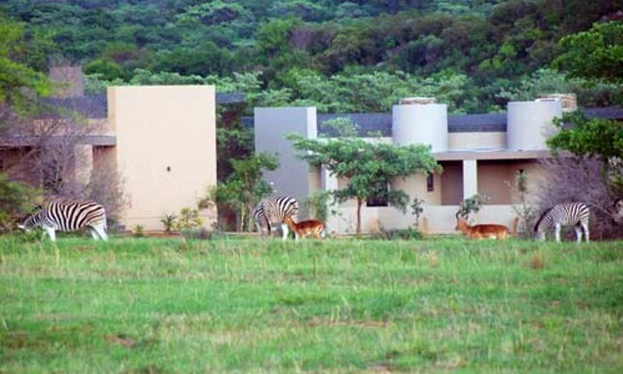 Limpopo: 1-Night Stay for Two at Legend Simba Safari - Image 11