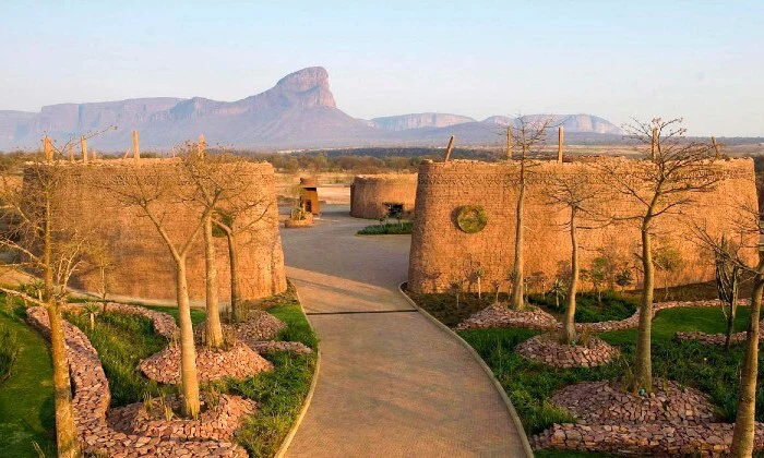 Limpopo: 1-Night Stay for Two at Legend Simba Safari - Image 8