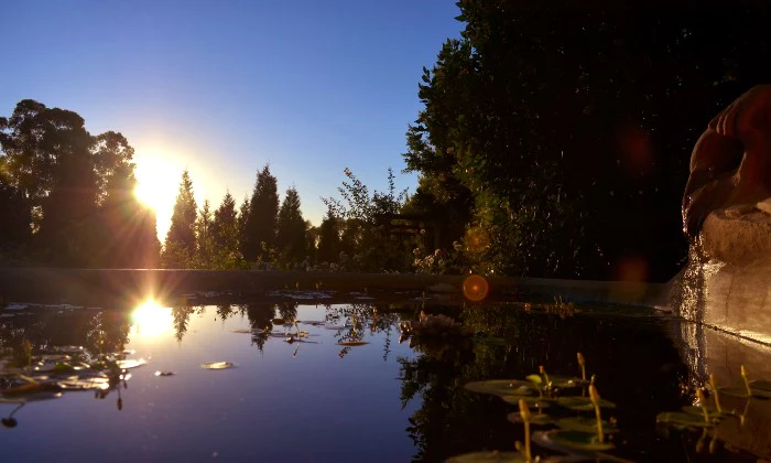 Luxury Couples Escape: 1-Night Stay with Breakfast & Spa Package at Aloe Verde, Johannesburg (Save 60%) - Image 7