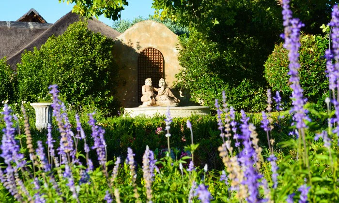 Luxury Couples Escape: 1-Night Stay with Breakfast & Spa Package at Aloe Verde, Johannesburg (Save 60%) - Image 8