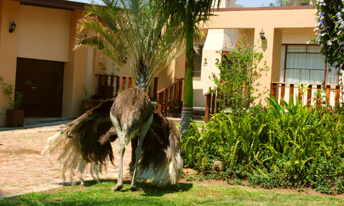 Mpumalanga: 1-Night Stay for Two including Breakfast at Montrose River Lodge - Image 2