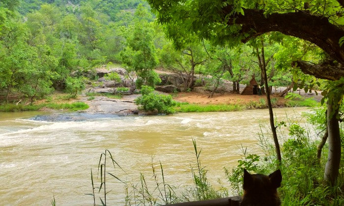 Mpumalanga: 1-Night Stay for Two including Breakfast at Montrose River Lodge - Image 6
