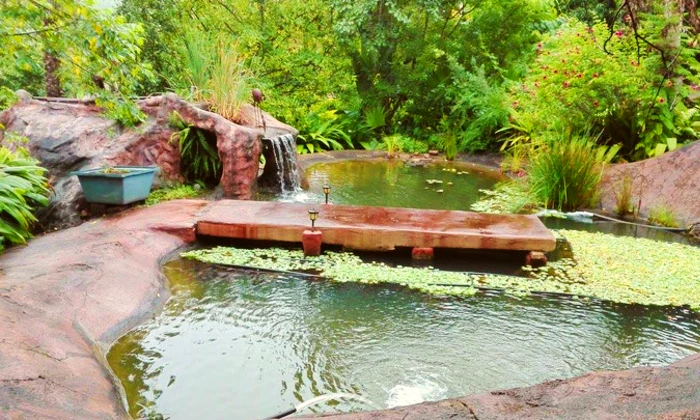Mpumalanga: 1-Night Stay for Two including Breakfast at Montrose River Lodge - Image 9