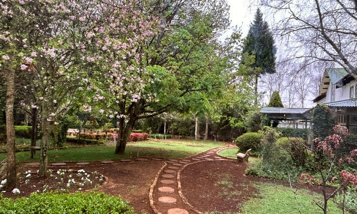 Mpumalanga: 2-Night Stay for Two with Breakfast and optional Manicure or Spa Package at The Highland Rose Bed and Breakfast - Image 11