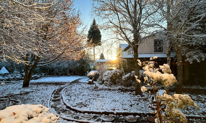 Mpumalanga: 2-Night Stay for Two with Breakfast and optional Manicure or Spa Package at The Highland Rose Bed and Breakfast - Image 12