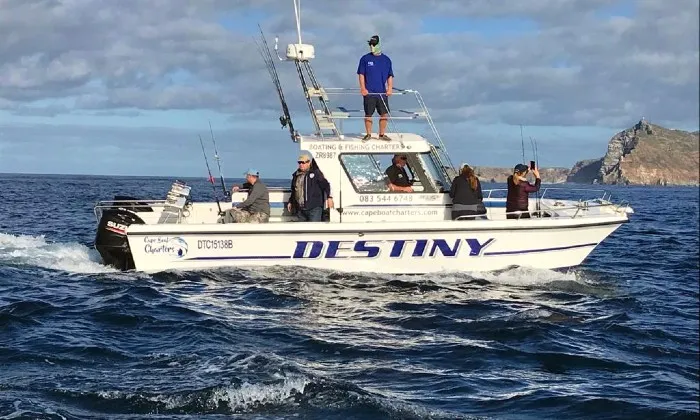 Off-shore Tuna fishing experience - Image 5