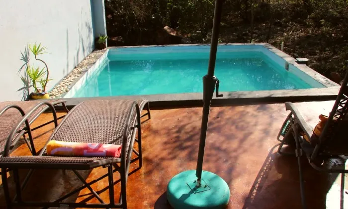Mpumalanga: 2-Night anytime stay for two including breakfast, dinner & game drive at Leopard Kruger Lodge - Image 7