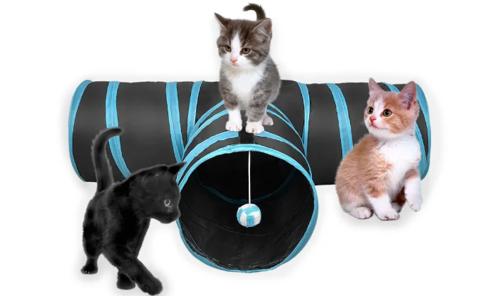 Rex - Cat Tunnel - Image 2