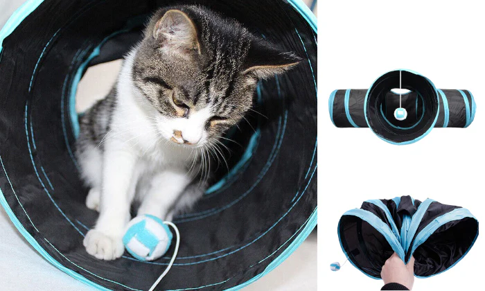 Rex - Cat Tunnel - Image 3