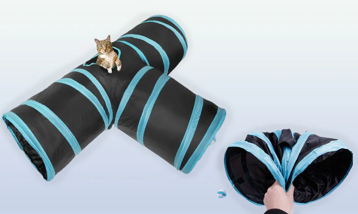 Rex - Cat Tunnel - Image 6