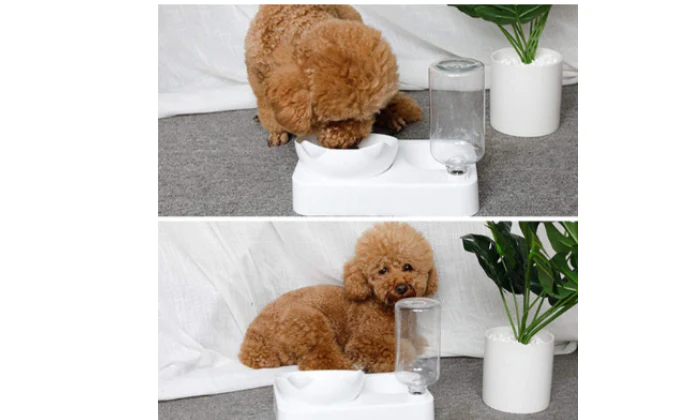 Rex - Pet Feeder - Image 3
