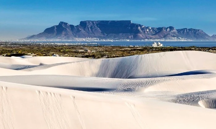 Sandboarding party package for up to 10 kids with On the Tours Sandboarding - Image 2