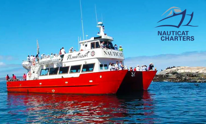 Scenic Boat Trip to Seal Island for 2