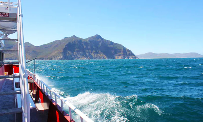 Scenic Boat Trip to Seal Island for 2 - Image 2