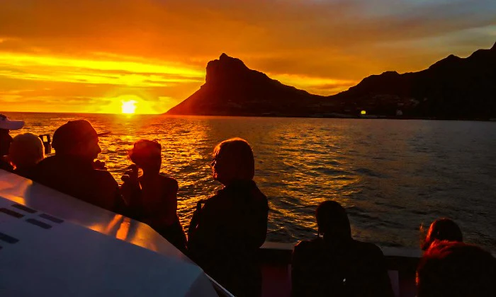 Scenic Boat Trip to Seal Island for 2 - Image 6