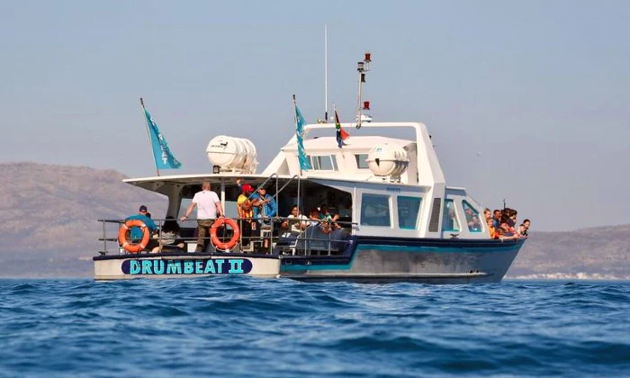 Scenic Boat Trip to Seal Island for 2 - Image 8