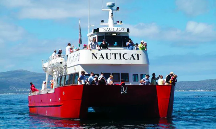 Scenic Boat Trip to Seal Island for 2 - Image 9
