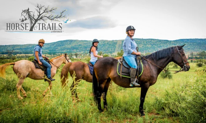 Scenic Horse Trail or Romantic Horse Ride with Picnic at Horse and Trails Unlimited