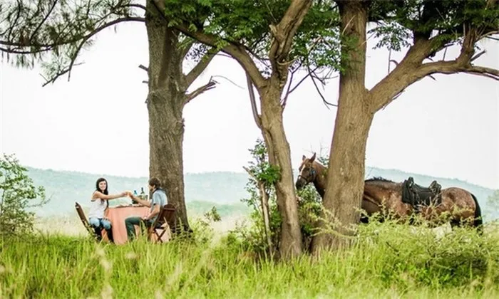 Scenic Horse Trail or Romantic Horse Ride with Picnic at Horse and Trails Unlimited - Image 3