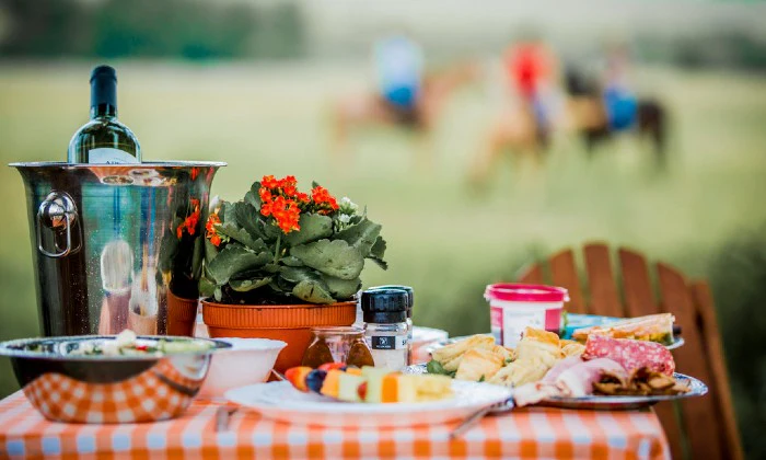 Scenic Horse Trail or Romantic Horse Ride with Picnic at Horse and Trails Unlimited - Image 5