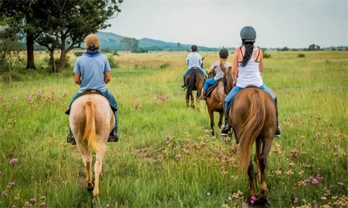 Scenic Horse Trail or Romantic Horse Ride with Picnic at Horse and Trails Unlimited - Image 6