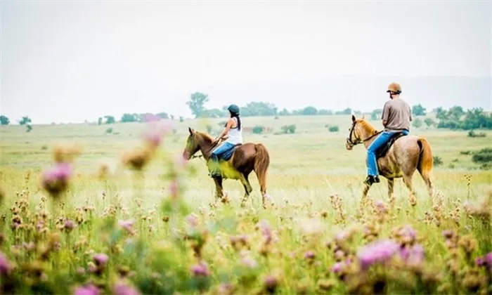 Scenic Horse Trail or Romantic Horse Ride with Picnic at Horse and Trails Unlimited - Image 7
