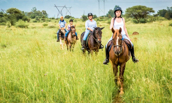 Scenic Horse Trail or Romantic Horse Ride with Picnic at Horse and Trails Unlimited - Image 9