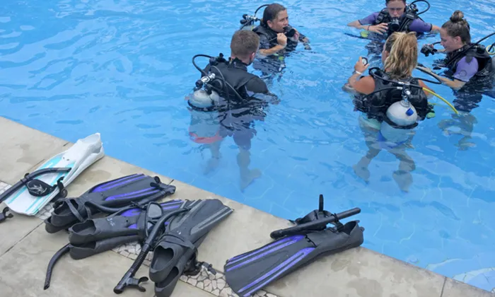 Scuba dive experience - Image 6